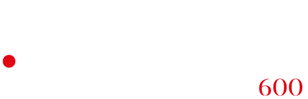 solutions600 logo light